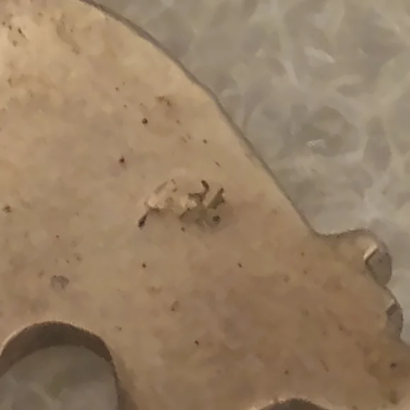 Navajo Sprit Bear Black Onyx & Fire Opal Inlay Sterling Silver Pendant Jewelry